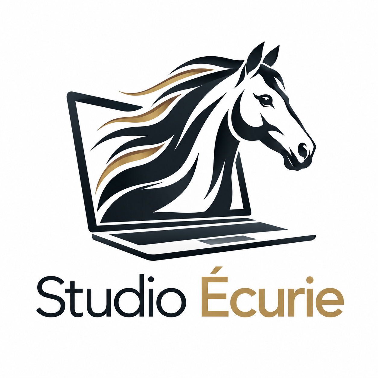 Logo Studio Écurie